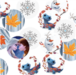 Confetti Frozen II 24u
